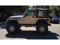 2004 Light Khaki Metallic Jeep Wrangler Rubicon 4x4  photo #6