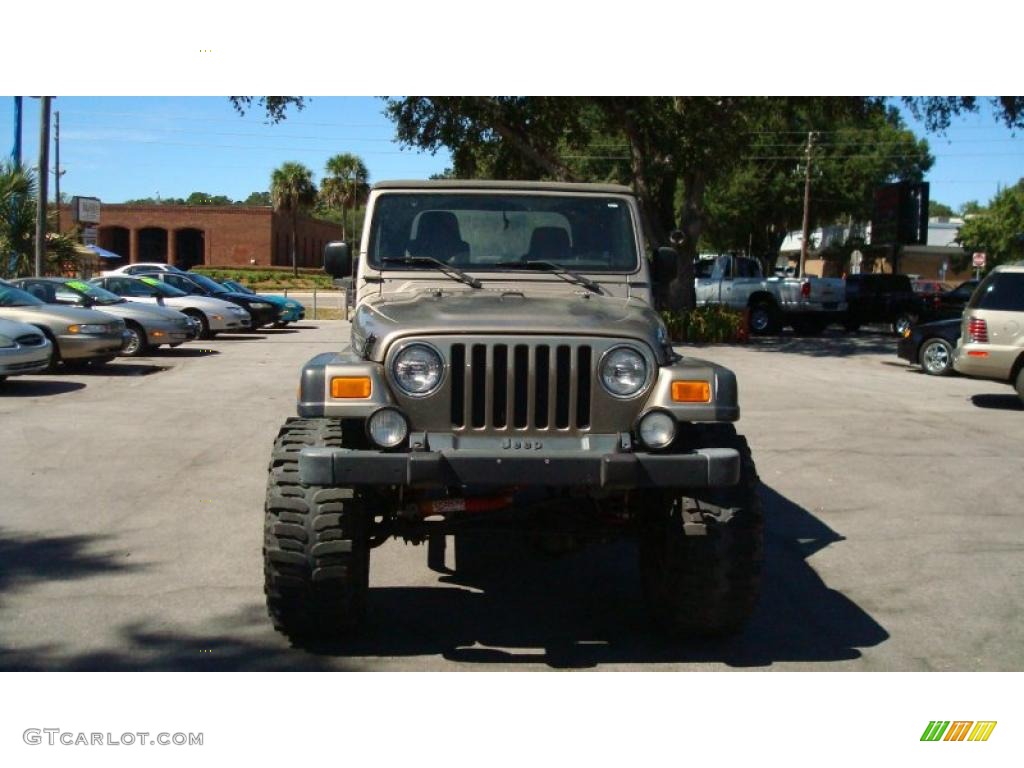 2004 Wrangler Rubicon 4x4 - Light Khaki Metallic / Khaki photo #8