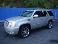 Quicksilver - Escalade AWD Photo No. 1