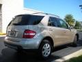 Desert Silver Metallic - ML 350 4Matic Photo No. 6