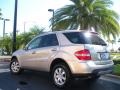 Desert Silver Metallic - ML 350 4Matic Photo No. 8