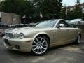 Winter Gold Metallic 2008 Jaguar XJ Vanden Plas