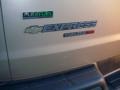 2011 Sandstone Metallic Chevrolet Express LT 1500 Passenger Van  photo #6
