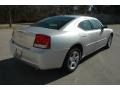 2010 Bright Silver Metallic Dodge Charger SXT  photo #6