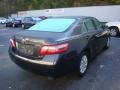 2008 Magnetic Gray Metallic Toyota Camry XLE  photo #4