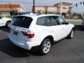 2009 Alpine White BMW X3 xDrive30i  photo #9