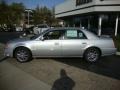 Radiant Silver Metallic - DTS Luxury Photo No. 7