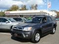 2007 Galactic Gray Mica Toyota 4Runner SR5 4x4  photo #1