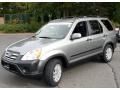 Silver Moss Metallic - CR-V EX 4WD Photo No. 1