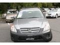 Silver Moss Metallic - CR-V EX 4WD Photo No. 2