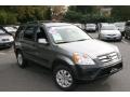 Silver Moss Metallic - CR-V EX 4WD Photo No. 3