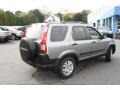 Silver Moss Metallic - CR-V EX 4WD Photo No. 5