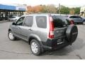 Silver Moss Metallic - CR-V EX 4WD Photo No. 8