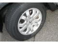 Silver Moss Metallic - CR-V EX 4WD Photo No. 21