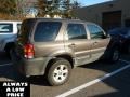 2006 Dark Stone Metallic Ford Escape XLT V6 4WD  photo #3