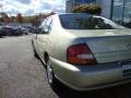 Cultured Sandstone Pearl Metallic - Altima GLE Photo No. 8