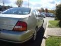 Cultured Sandstone Pearl Metallic - Altima GLE Photo No. 9