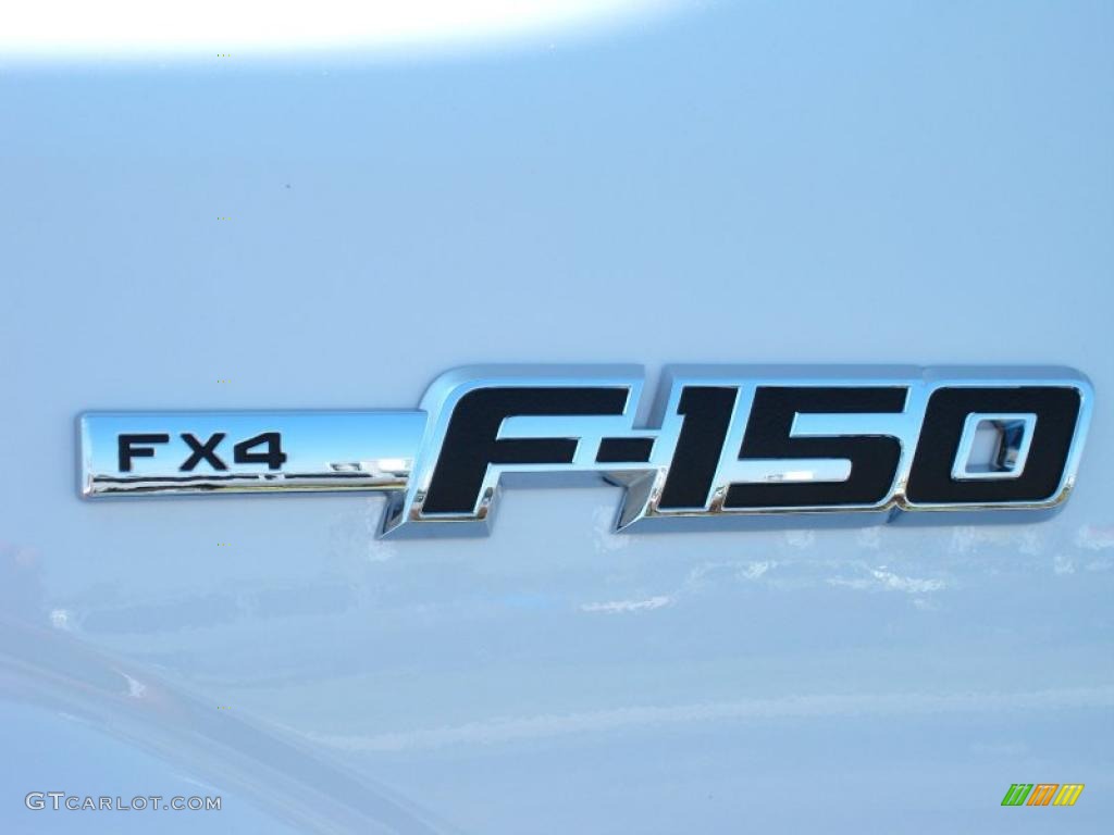 2010 F150 FX4 SuperCrew 4x4 - Tuxedo Black / Black photo #4