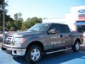 2010 Sterling Grey Metallic Ford F150 XLT SuperCrew  photo #1