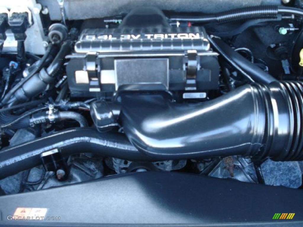 2005 Ford Expedition Limited 4x4 5.4 Liter SOHC 24V VVT Triton V8 Engine Photo #38488171