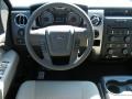 2010 Sterling Grey Metallic Ford F150 XLT SuperCrew  photo #6