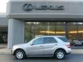 Pewter Metallic - ML 350 4Matic Photo No. 2