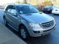 Pewter Metallic - ML 350 4Matic Photo No. 6