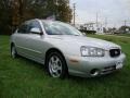 2002 Silver Pewter Hyundai Elantra GLS Sedan  photo #5