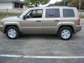 Light Khaki Metallic - Patriot Sport Photo No. 8