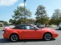 Competition Orange - Mustang GT Convertible Photo No. 6