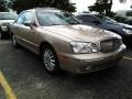Golden Beige - XG350 L Photo No. 1
