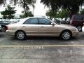Golden Beige - XG350 L Photo No. 2