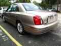 Golden Beige - XG350 L Photo No. 4