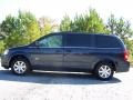 2008 Modern Blue Pearlcoat Chrysler Town & Country Touring Signature Series  photo #12