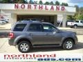 Sterling Grey Metallic 2010 Ford Escape Limited 4WD