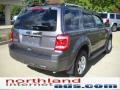 2010 Sterling Grey Metallic Ford Escape Limited 4WD  photo #2