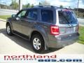 2010 Sterling Grey Metallic Ford Escape Limited 4WD  photo #4