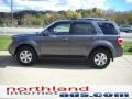 2010 Sterling Grey Metallic Ford Escape Limited 4WD  photo #5