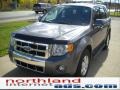 2010 Sterling Grey Metallic Ford Escape Limited 4WD  photo #13