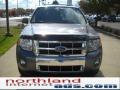 2010 Sterling Grey Metallic Ford Escape Limited 4WD  photo #14