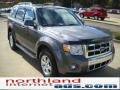 2010 Sterling Grey Metallic Ford Escape Limited 4WD  photo #15