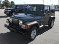 2005 Deep Beryl Green Pearl Jeep Wrangler X 4x4  photo #1