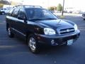 2005 Black Obsidian Hyundai Santa Fe GLS  photo #3