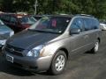 2010 Titanium Silver Kia Sedona LX  photo #1