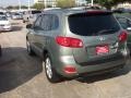 2008 Natural Khaki Green Hyundai Santa Fe Limited  photo #6