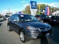Carbon Gray Pearl - RDX Technology Photo No. 1