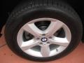 2007 Titanium Silver Metallic BMW X5 3.0si  photo #19