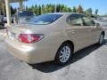 Mystic Gold Metallic - ES 300 Photo No. 3