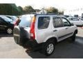 2002 Satin Silver Metallic Honda CR-V EX 4WD  photo #5