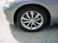Platinum Graphite Gray - G 35 Sedan Photo No. 11